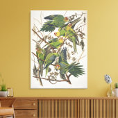 Carolina Parakeet, from 'Birds of America', 1829 キャンバスプリント (インサイチュ (リビング))