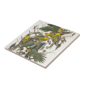 Carolina Parrot - John James Audubon (1827-1838) タイル (側面)