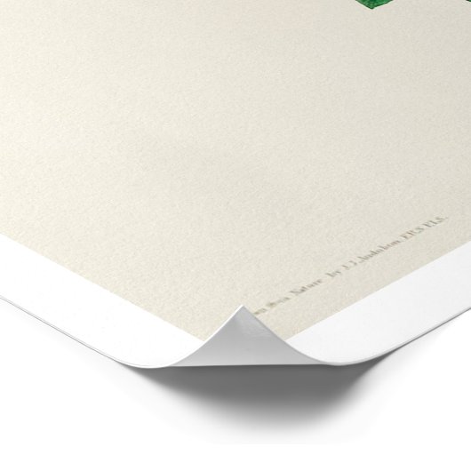 Carolina Titmouse by Audubon Poster ポスター (角)