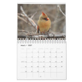 Carolinasの鳥 カレンダー (3月 2027)