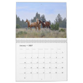 Carolyn 2017の野生の馬のカレンダーによる写真撮影 カレンダー (1月 2027)