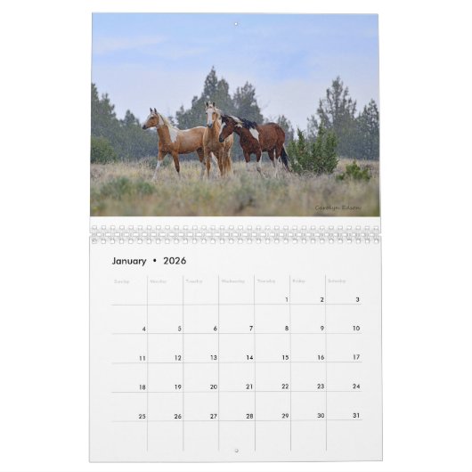 Carolyn 2017の野生の馬のカレンダーによる写真撮影 カレンダー (1月 2026)