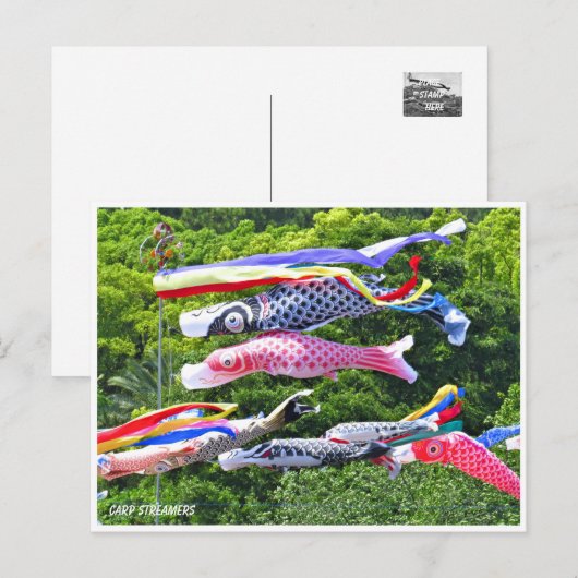 Carp Streamers ポストカード (正面/裏面)