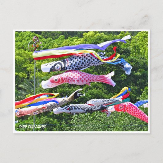 Carp Streamers ポストカード (正面)