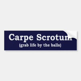 Carpeの陰嚢 バンパーステッカー