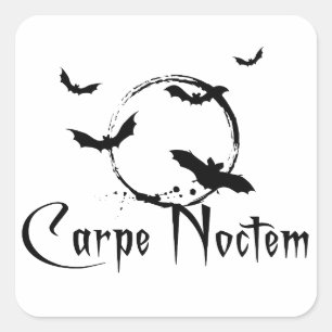 Carpeのnoctem スクエアシール