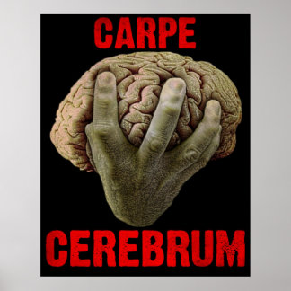 「CARPE CEREBRUM」ポスター ポスター