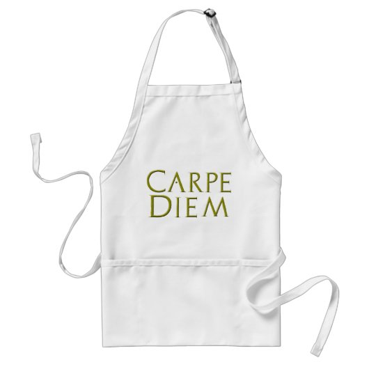 Carpe Diemのエプロン スタンダードエプロン (正面)