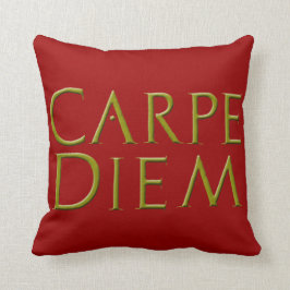 Carpe Diemの枕 クッション