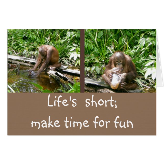 Carpe Diemの楽しむな生命 (正面横)