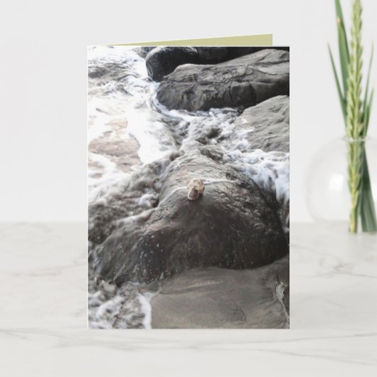 Carpe Diem カード (正面)