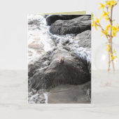 Carpe Diem カード (黄色い花)