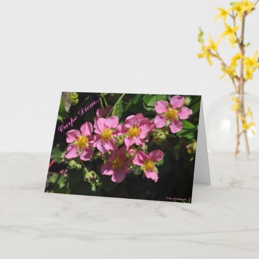 Carpe Diem… カード (黄色い花)