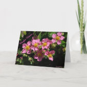 Carpe Diem… カード (正面)