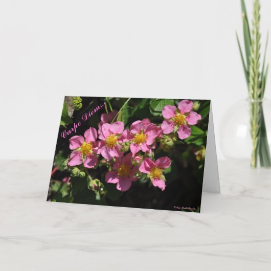 Carpe Diem… カード (正面)