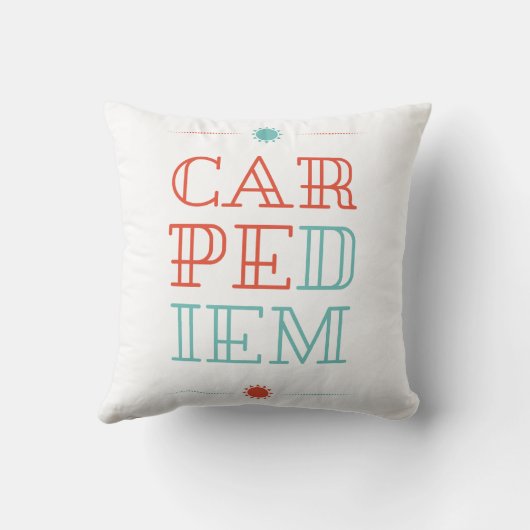 Carpe Diem クッション (裏面)