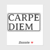 Carpe Diem ラテン語 引用 ステッカー シール (シート)