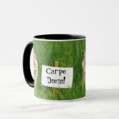 Carpe Diem! 印が付いているシマリス マグカップ (正面左)