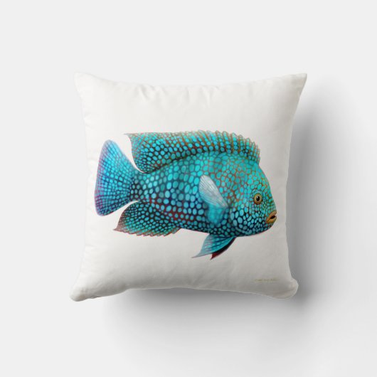 Carpintisテキサス州のシクリッド魚の枕 クッション (裏面)
