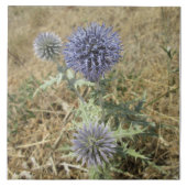 Carreau céramique chardon fleur bleue タイル (正面)