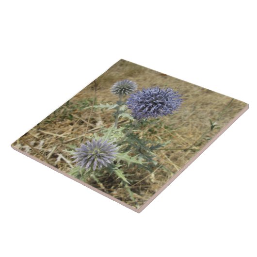 Carreau céramique chardon fleur bleue タイル (側面)