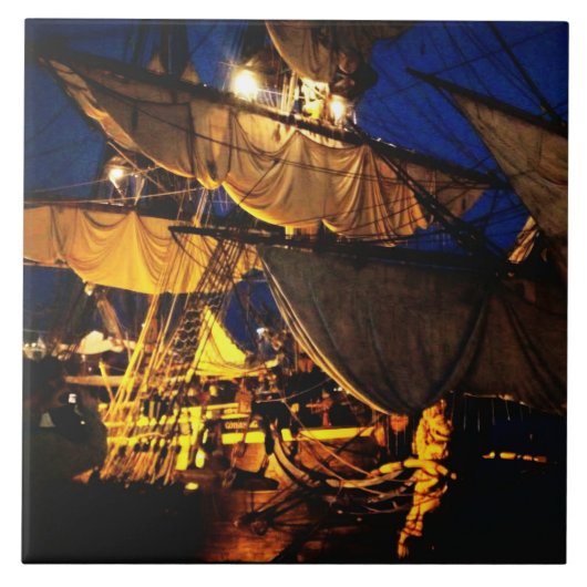 Carreau en céramique タイル (正面)