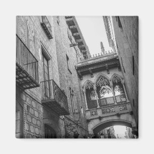 Carrer del Bisbe Magnet: バルセロナ マグネット