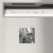 Carrer del Bisbe Magnet：バルセロナ マグネット (インサイチュ (食洗機))
