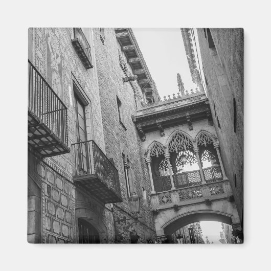 Carrer del Bisbe Magnet：バルセロナ マグネット (正面)