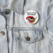 Carri豆の海賊! 缶バッジ (インサイチュ)