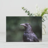 Carrion crow bird自然フォトカード (スタンド正面)