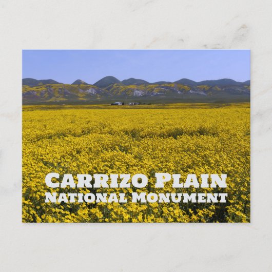 Carrizo Plain National Monument ポストカード (正面)