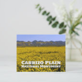 Carrizo Plain National Monument ポストカード (スタンド正面)