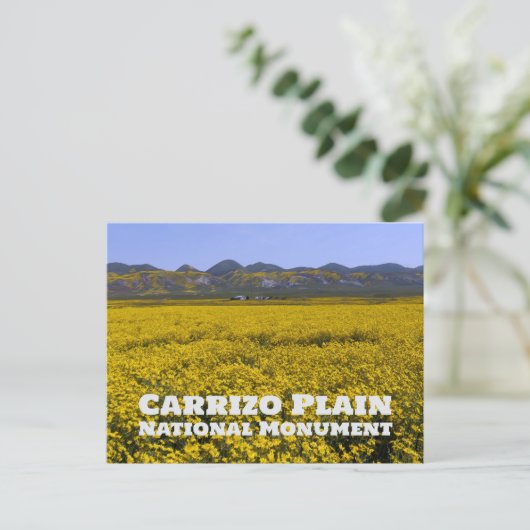 Carrizo Plain National Monument ポストカード (スタンド正面)