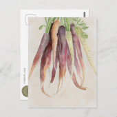 Carrots, 5x7 Post Card ポストカード (正面/裏面)