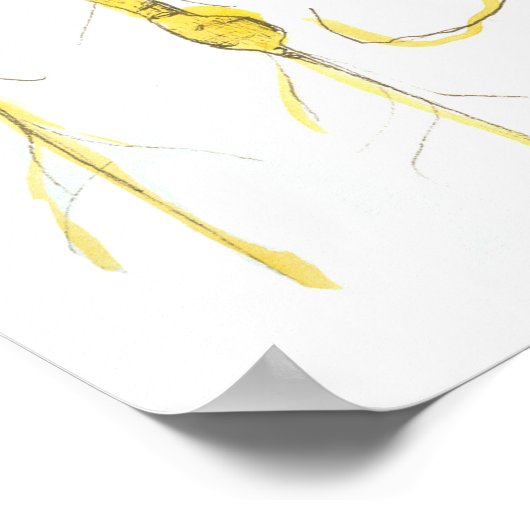 Carrots Garden Vegetable Watercolor Ink Drawing ポスター (角)