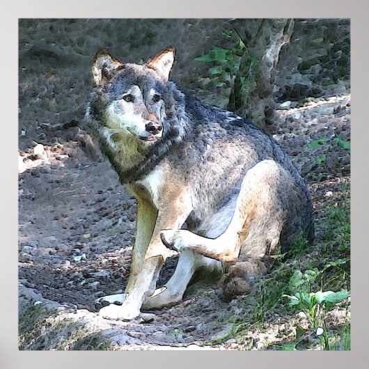 CArtウルフ ポスター (正面)