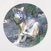 CArtウルフ ラベル (デザイン2)