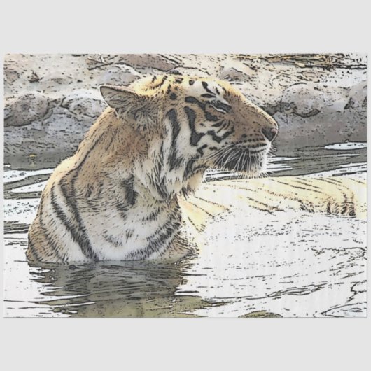 CArt Tiger 118 薄葉紙 (正面)