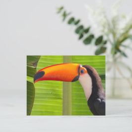 Cartão com design Tucano ポストカード