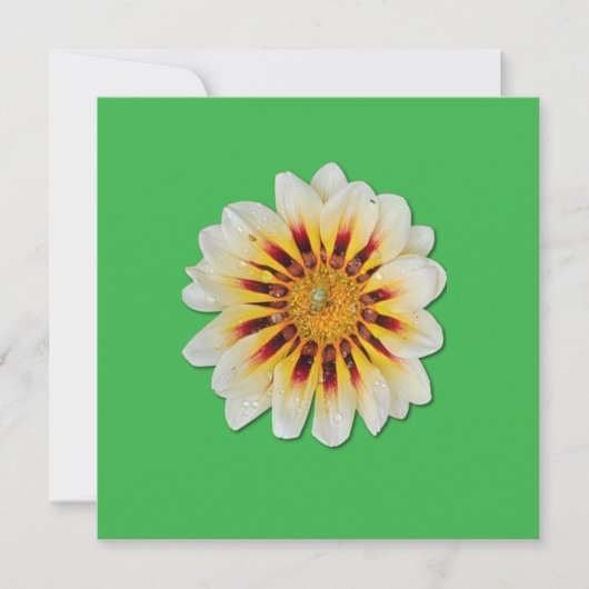 Cartão convite Verde Flor Minimalista Joaninha 招待状 (正面)