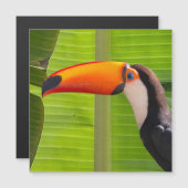 Cartão maagnético com design Tucano (正面/裏面)