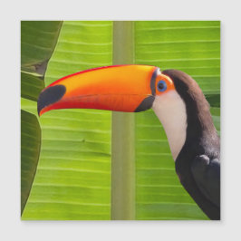 Cartão maagnético com design Tucano
