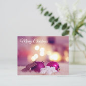 Cartão Postal de Natal Rosa Amor de Amigo シーズンポストカード (スタンド正面)