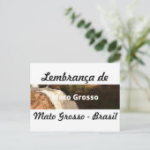 Cartão postal lembrança de Mato Grosso ポストカード (スタンド正面)