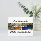 Cartão postal lembrança de Mato Grosso do Sul ポストカード (スタンド正面)
