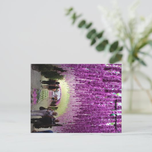 Cartão postal Tomar ポストカード (スタンド正面)