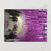 Cartão postal Tomar ポストカード (正面)