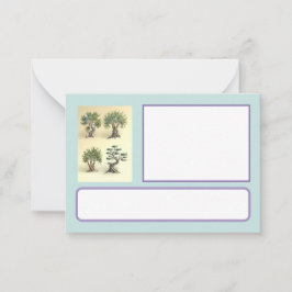 carte avec les oliviers taillés Provence. ノートカード