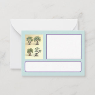 carte avec les oliviers taillés Provence. ノートカード